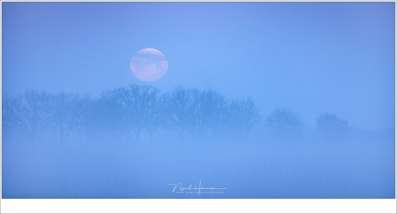 After a cold night when temperatures dropped to -9°C fog emerged after sunrise, almost obscuring the setting Moon. A wonderful landscape worth photographing and a worthy end of more than five hours eclipse (Canon EOS 1Dx + EF100-300L @ 349mm | ISO640 | f