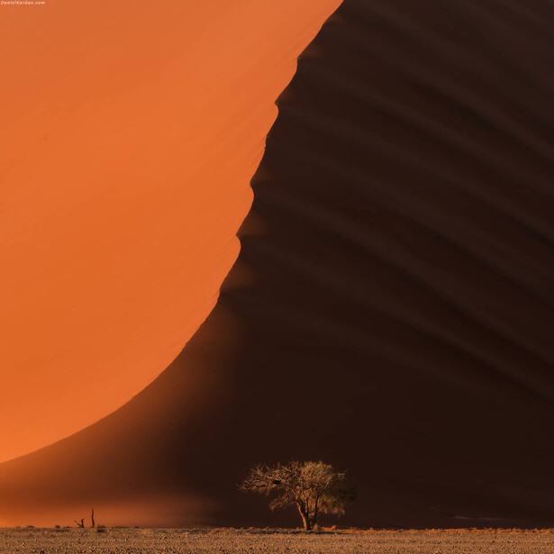 Sossusvlei Dune