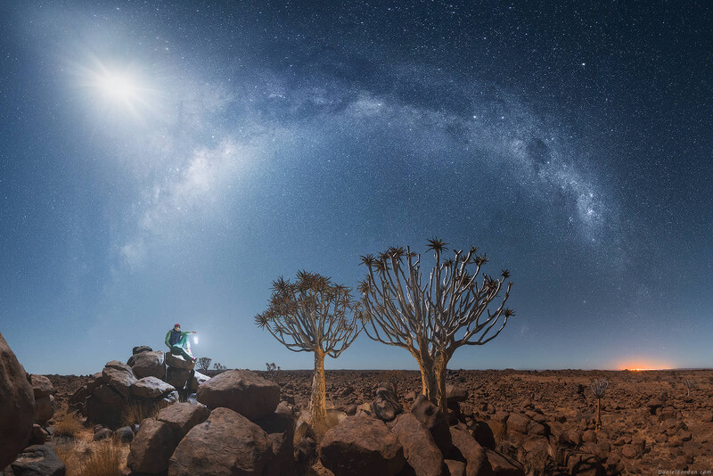 Quiver Tree Forest