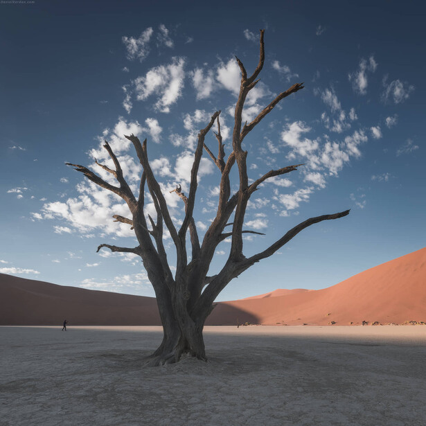 Deadvlei
