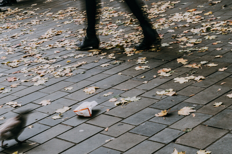 Piece of rubbish on the street, with a pigeon and a person walking by