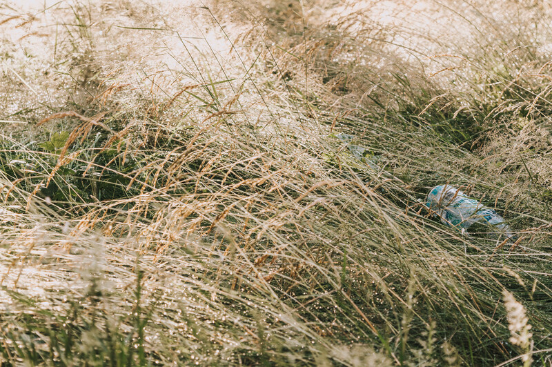 A plastic bottle discarded in tall grasses