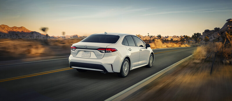 Toyota Corolla photoshoot