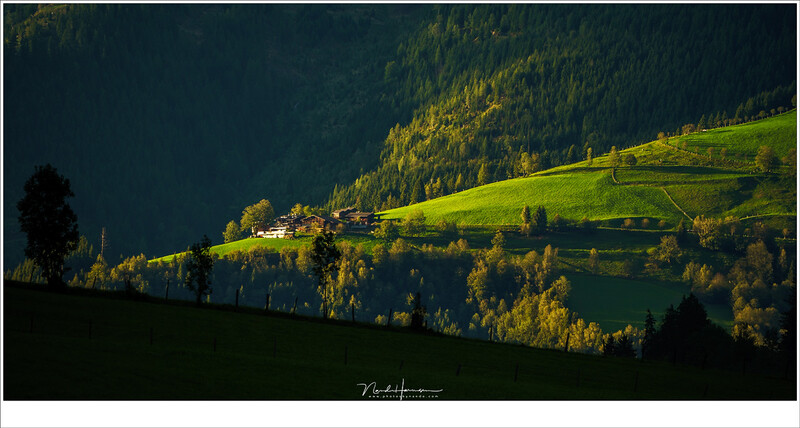 I choose this house on the mountain slope as a subject. Of course the light of late afternoon made the house stand out. Without the house there wouldn't be anything to look at. (Sony A9 + FE100-400G @ 400mm | ISO100 | f/8 | 1/80)