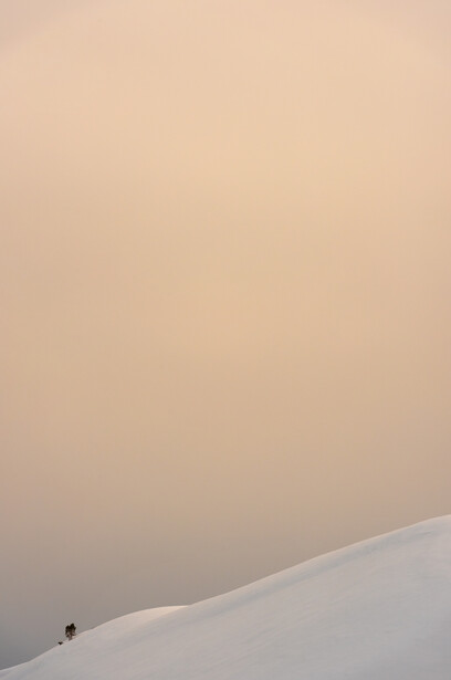 isolation-color-simplify-composition 