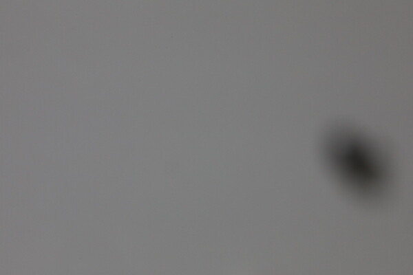 When stopped down to f/13, you could see the shadow of the fly. Image via Lensrentals.com, 2019.