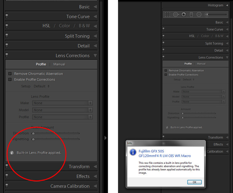 The patterns are generated due to the build in lens distortion correction, as it turned out. This setting is fixed into the raw files and cannot be turned off in any way. It is quite frustrating when you love shooting star trails. It means you cannot use 