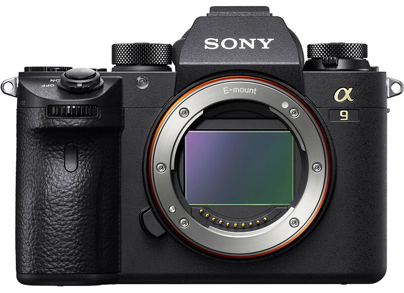 The Sony a9. Amazing autofocus. Enjoy cleaning that sensor, however.