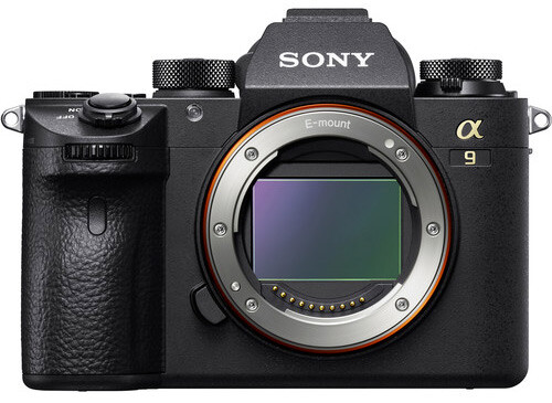The Sony a9. Its first iteration was something of a game-changer. The Mark II will almost certainly pack much less of a punch.