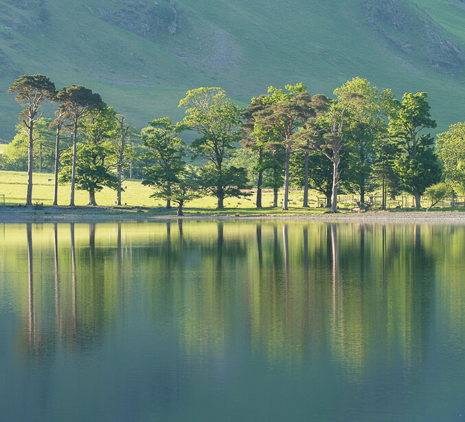 Symmetry in composition, Buttermere, Lake District