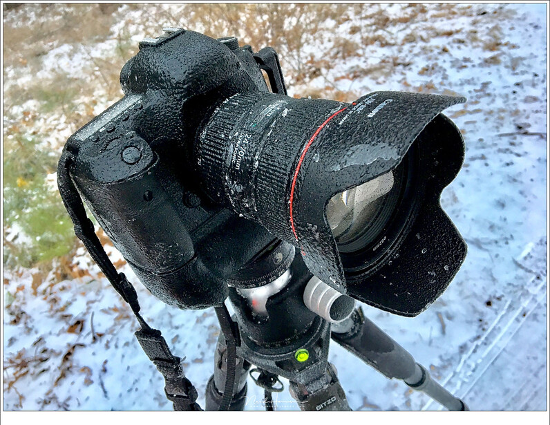 My camera covered with sleet. I never had my camera covered in ice like this, but it kept on working without problem. The only concern is to keep the lens free from condense, ice and water drops.