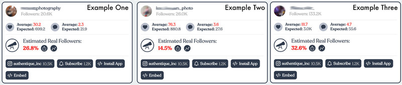 IGaudit scores for the example Instagram accounts