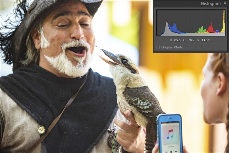photo of a falconer holding a kookaburra with a histogram in the corner