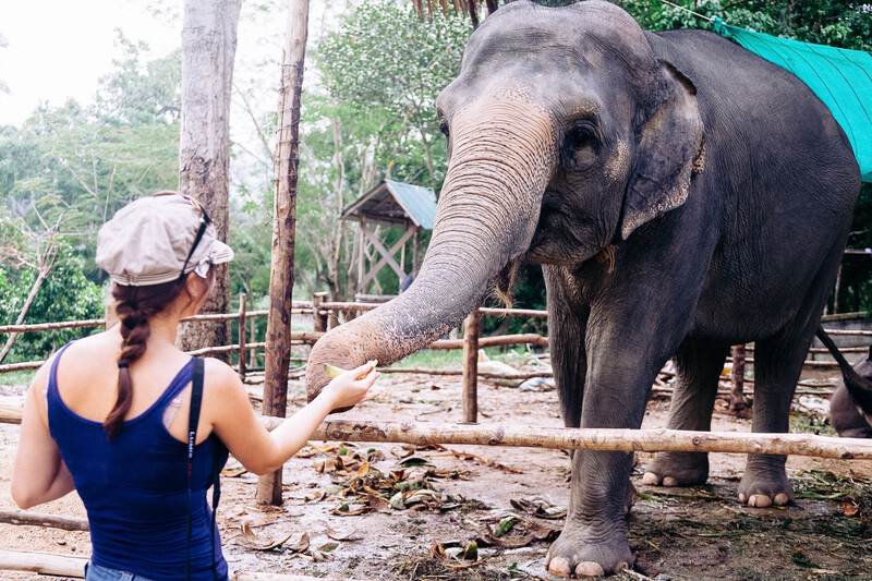 Thailand Snapshot