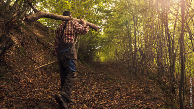 Lumberman
