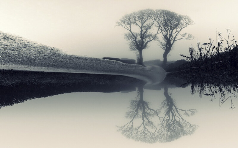 the Scottish Kissing Trees over a wintery pond