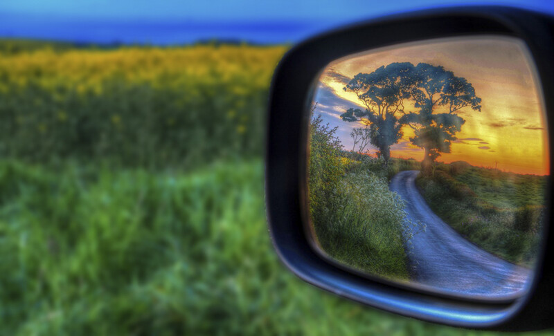 trees in a rearview mirror of a car
