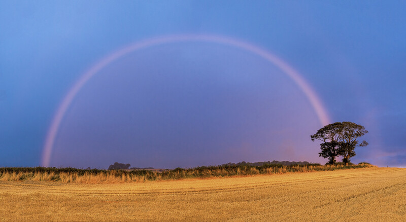 a rainbow over the Kissing Trees in Scotland