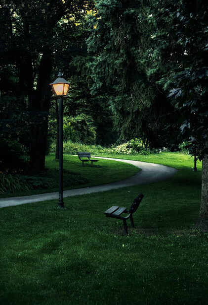 wide shot, landscape