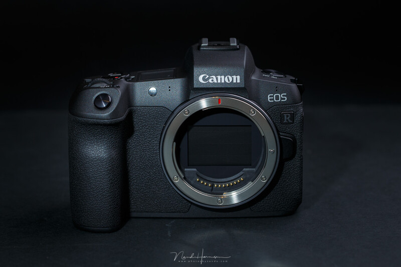 There is one thing that is really good with the EOS R; its articulating screen and its touchscreen functionality. 
