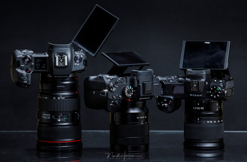 A mirrorless camera lacks a optical viewfinder. You might have the WYSIWYG experience, but the optical viewfinder has its benefits.