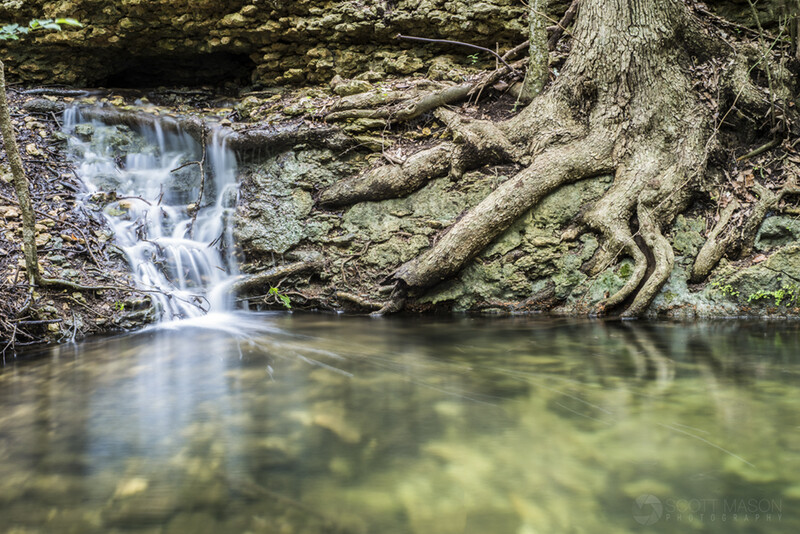 image of a waterfall over a pond, with a tree trunk and roots next to it