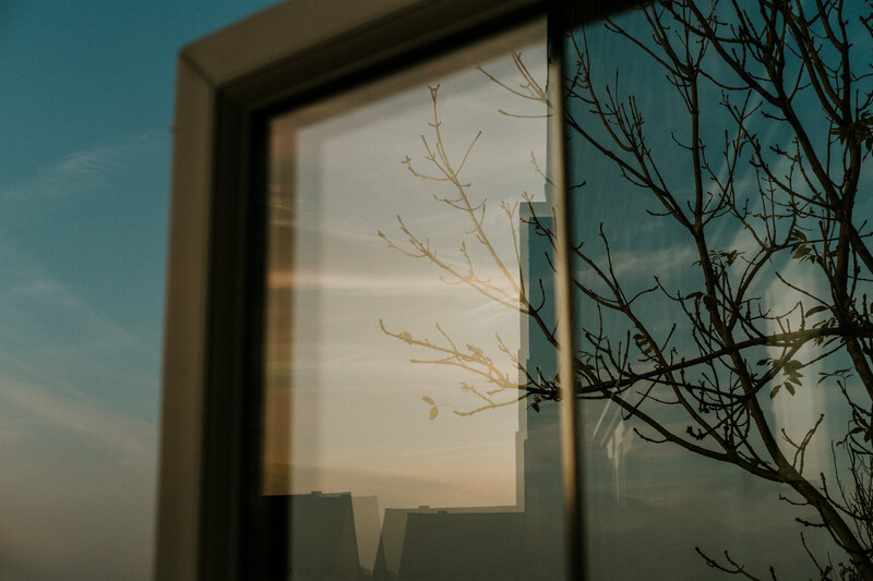 Open window and tree reflections