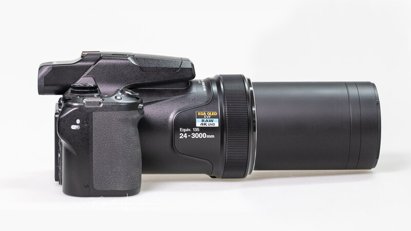 A Review: Shooting With the Nikon Coolpix P1000 | Fstoppers