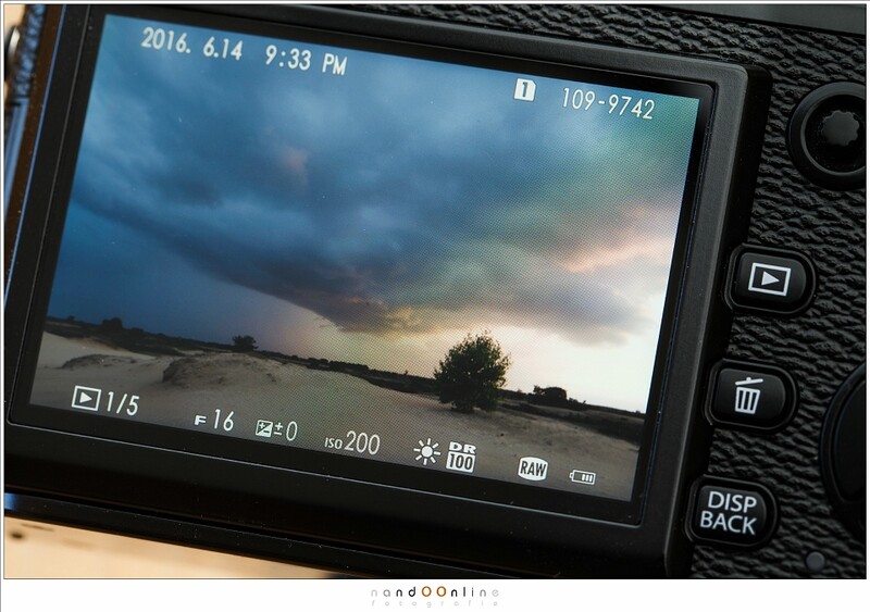 Don't be afraid of raw file format. It won't bite, and the modern software is friendly enough to make it easy.