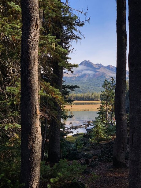 an iPhone nature photo with trees in the foreground and mountains in the background