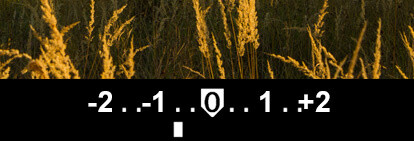 Camera light meter indicator