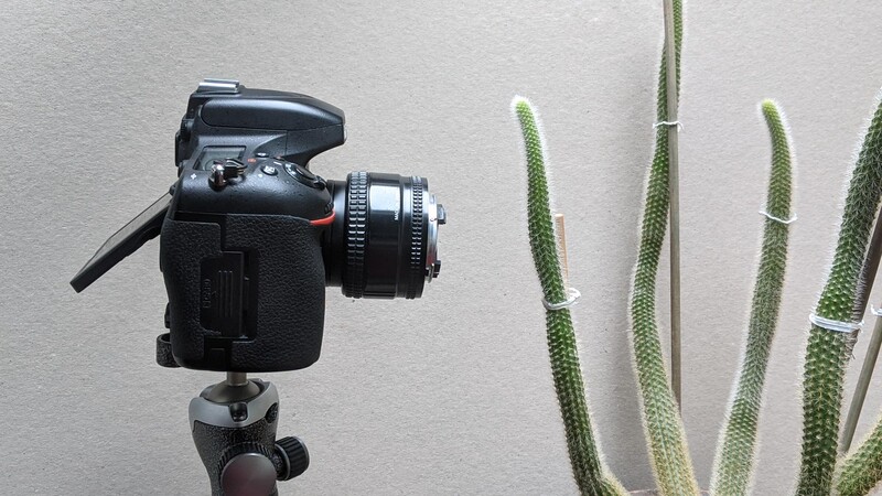 Image demonstrating close focusing of reversed lens