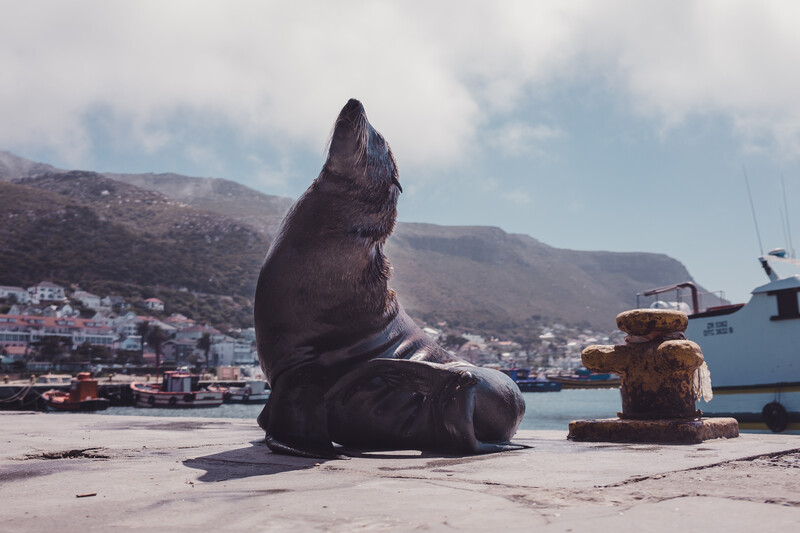 Cape Town, South Africa