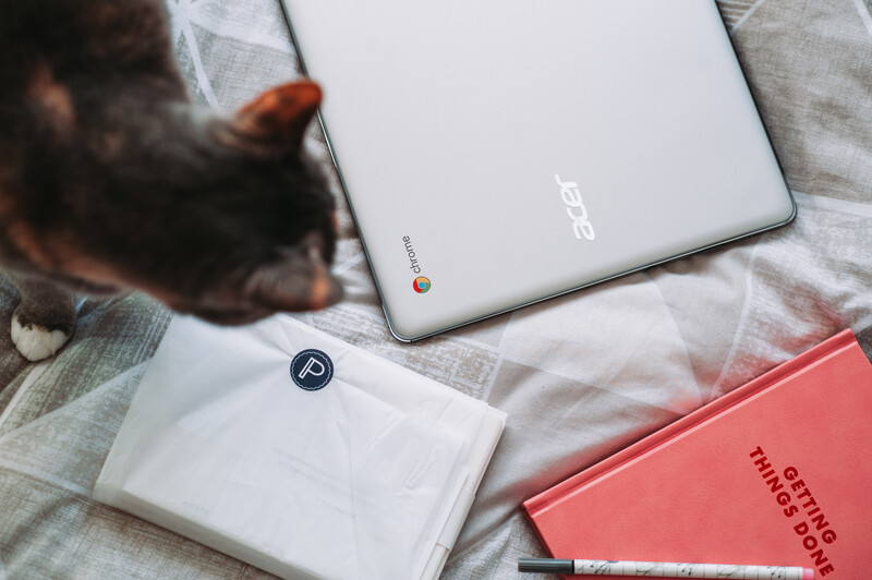 Acer laptop on a bed with a cat and notebooks scattered next to it.