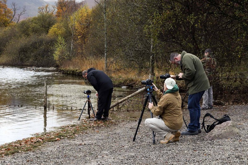 Veterans in Derwent Water in Lake District