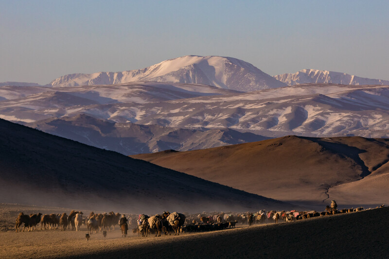 Kazakh Eagle hunters migrate