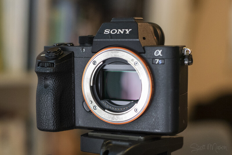 a sony mirrorless camera body sans lens