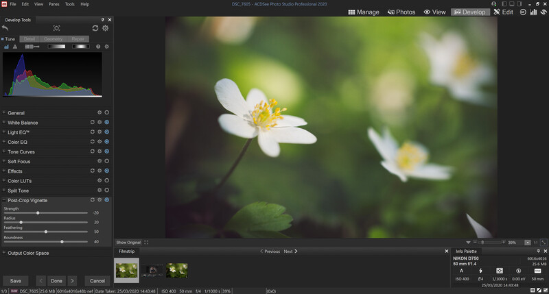 Step 5 - Add a Post-Crop Vignette