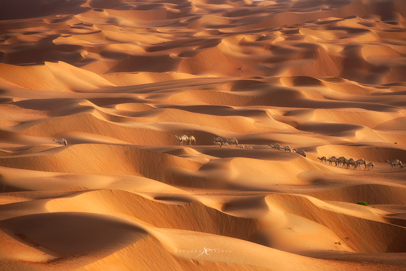 A desert from above
