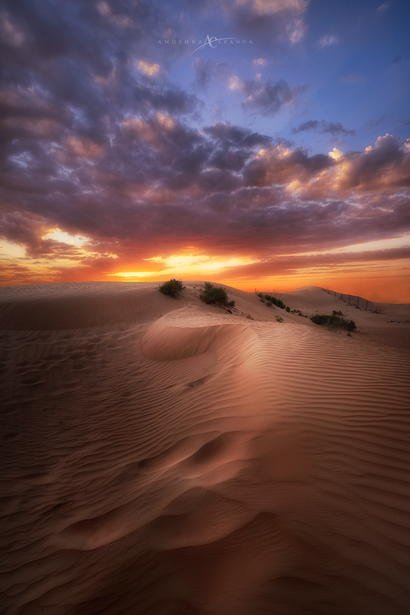 An evening shot of a desert