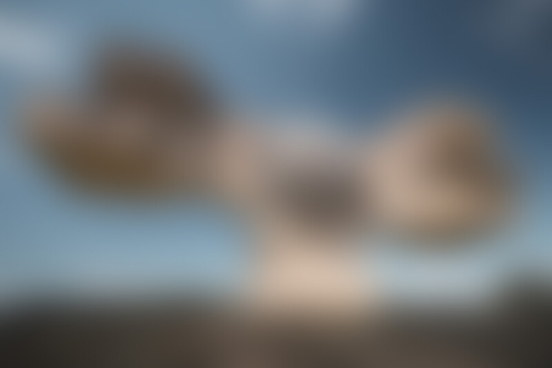The same image but with the filter applied with a radius of 50.