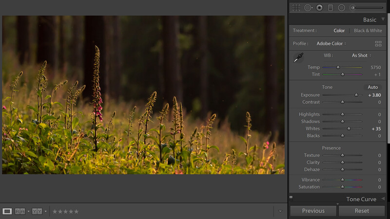 Boost the exposure slider