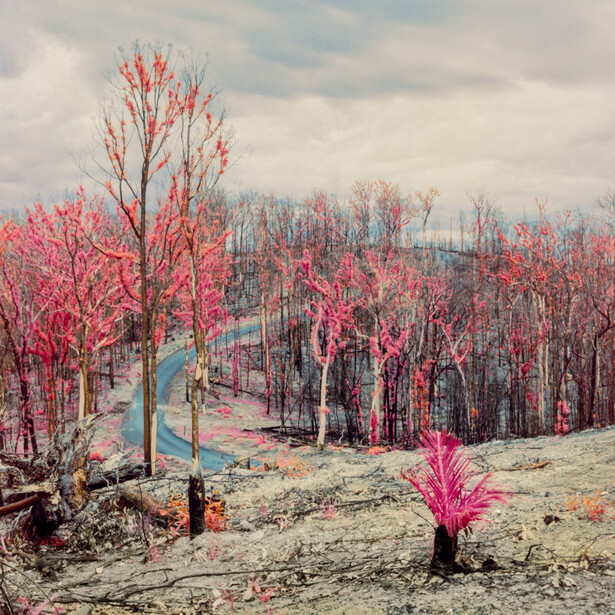 an infrared landscape photo of Batemans Bay in Australia after the bushfires of 2019.