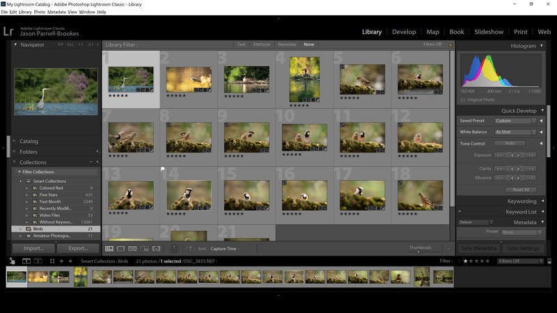 Screenshot showing Smart Collection creation complete in Lightroom