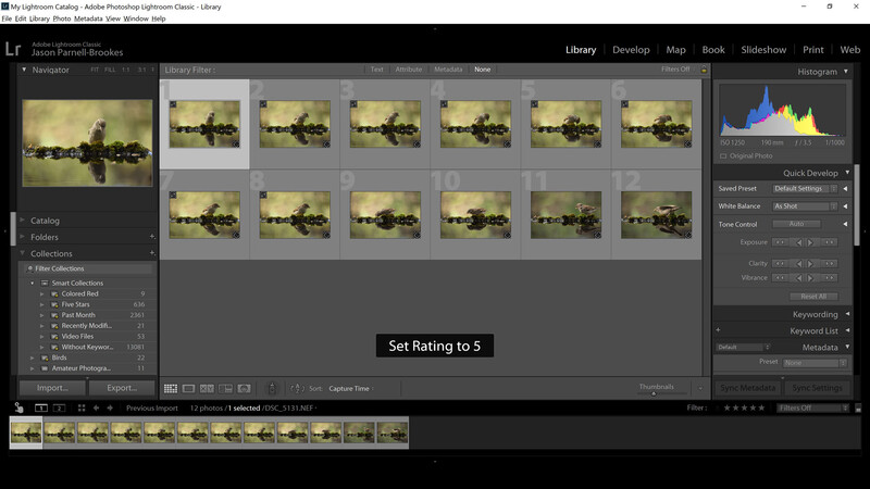 Screenshot showing images appearing in Smart Collection after they meet criteria set