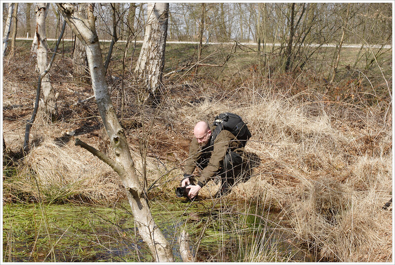 Photographing from strange angles can be much easier with live view