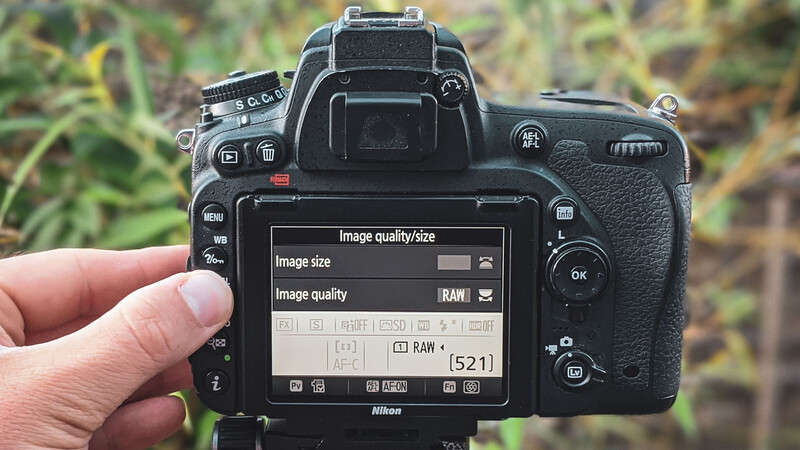 Raw and manual mode on rear screen of camera