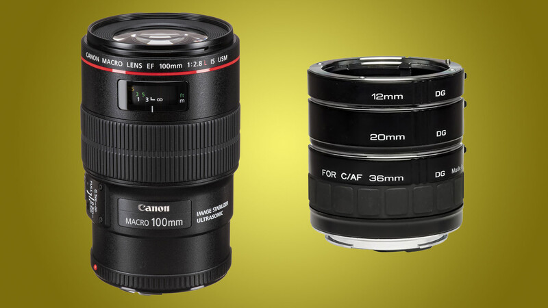 Macro lens and extension tubes example image