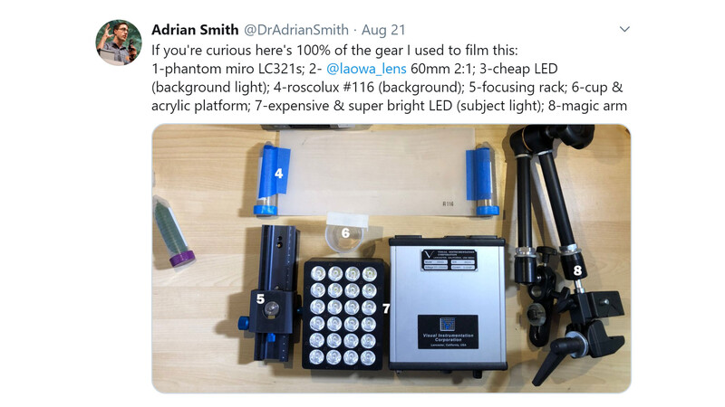Dr Adrian Smith insect gear twitter photo