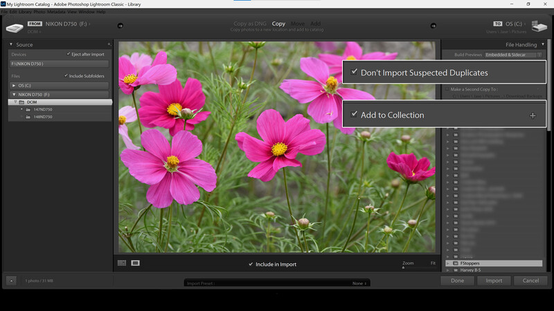 Import settings for Lightroom Classic